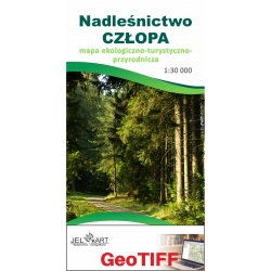 Nadleśnictwo Człopa - GeoTIFF